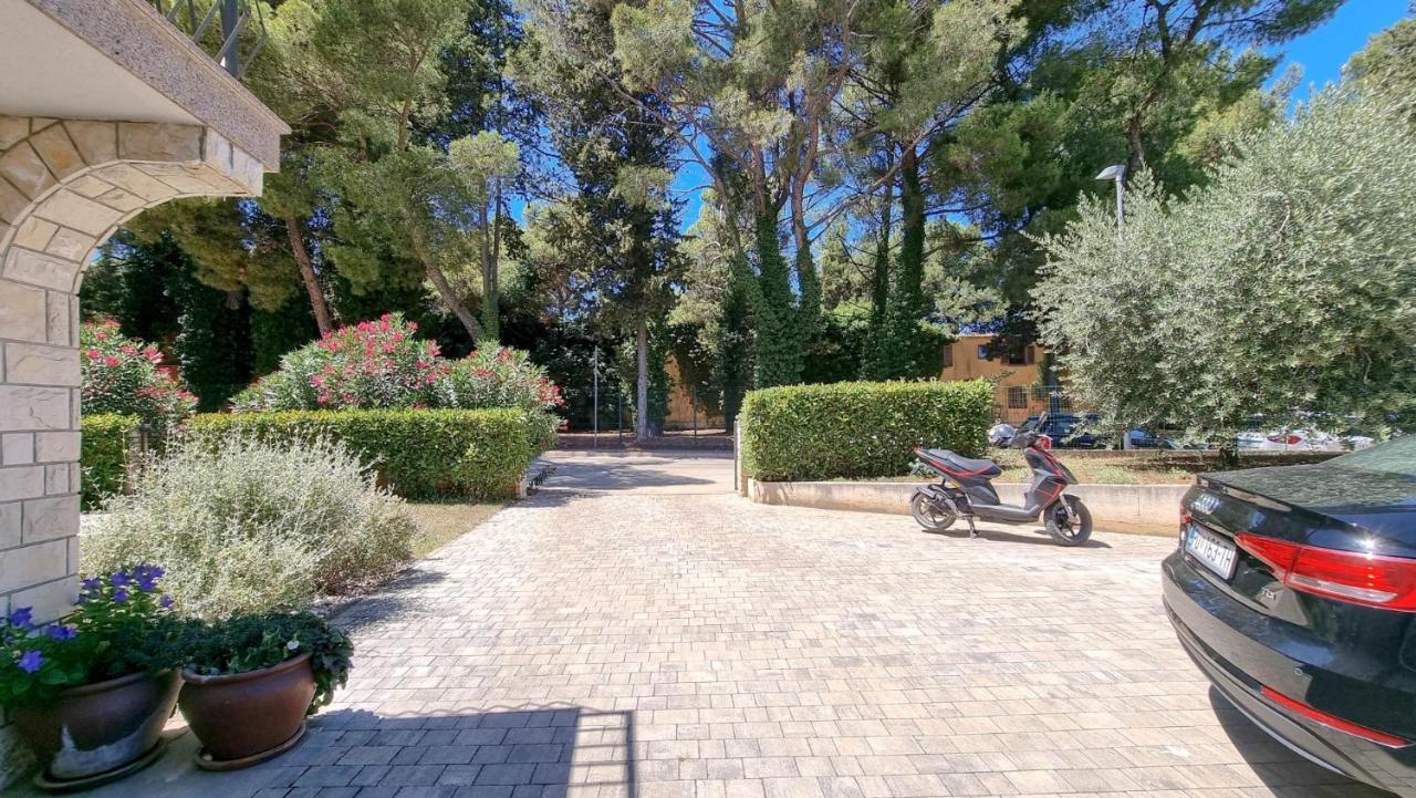Ferienwohnung Ena Novigrad Istria Exterior foto